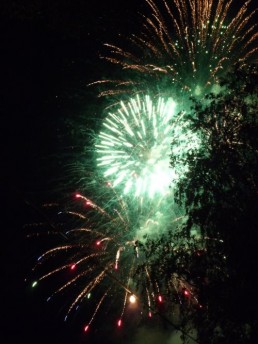 Stark Im Park Saalhausen 2010