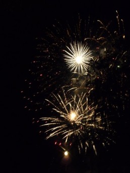 Stark Im Park Saalhausen 2010