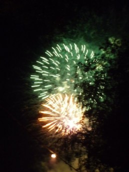 Stark Im Park Saalhausen 2010