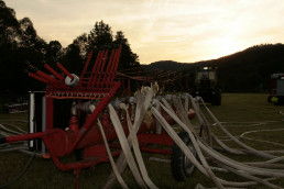 Stark Im Park Saalhausen 2015