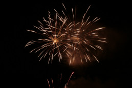 Stark Im Park Saalhausen 2015